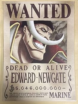 ONE PIECE ワンピース　特大ポスター　手配書　非売品 ワンピース 手配書 非売品 店頭チラシ 19枚｜Yahoo!フリマ（旧